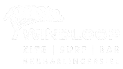 Kite Kitesurf Sticker by Windloop