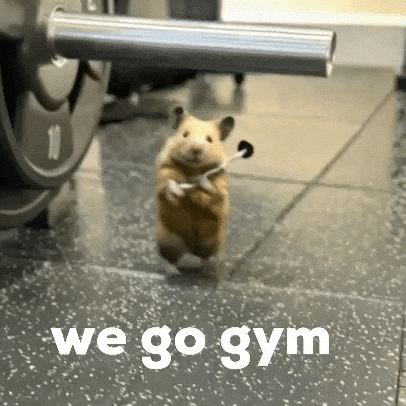 Go Work Out GIF