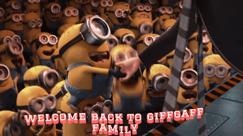 sha_shah  GIF