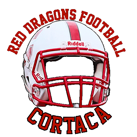 Red Dragons Football Sticker by SUNY Cortland