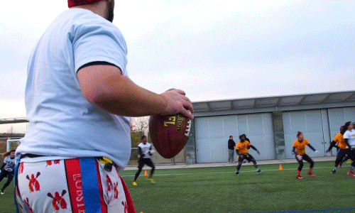 nfl catching GIF by DC Fray