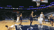 Womens Basketball Reaction GIF by WNBA