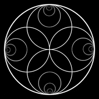 op art mandala GIF by Kilavaish