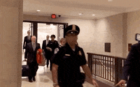 impeachment marie yovanovitch GIF