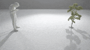 Clapis GIF