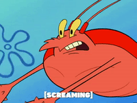 season 6 GIF by SpongeBob SquarePants
