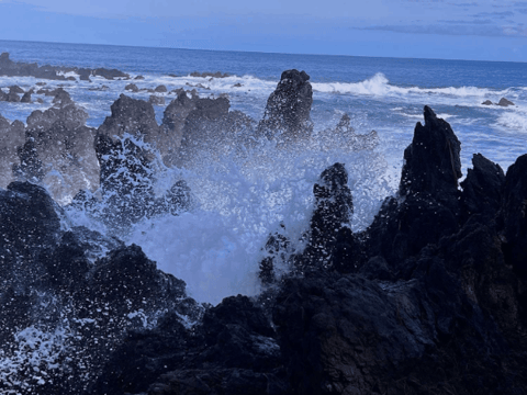 drmichaelpiepkorn giphygifmaker giphyattribution GIF