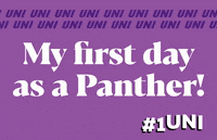 Unifight Unipanthers GIF by UNI Athletics