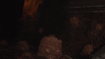 callistothegame horror sci-fi tcp skybound GIF