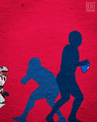 New England Patriots Football GIF