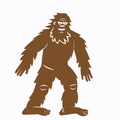 Bigfoot Squash GIF by NewSystemLaundry