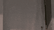 Door Hello GIF by Habitat