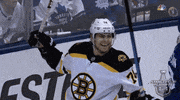 happy ice hockey GIF by NHL