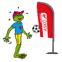 Football Sport Sticker by ASKÖ Burgenland