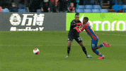 Angry Premier League GIF by MolaTV