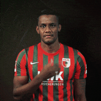 Think La Pantera GIF by FC Augsburg 1907