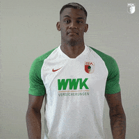 La Pantera Football GIF by FC Augsburg 1907
