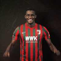 La Pantera Goal GIF by FC Augsburg 1907