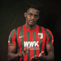 La Pantera Bundesliga GIF by FC Augsburg 1907