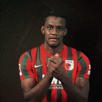 La Pantera Bundesliga GIF by FC Augsburg 1907