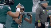 Philadelphia Eagles Football GIF by NFL
