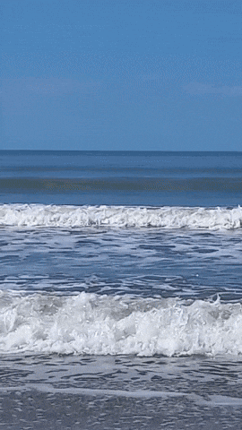 Simongip giphyupload GIF