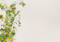 utopiaklubi art spring watercolor joanbecker GIF