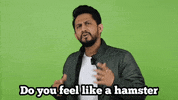 Do You Hamster GIF by Digital Pratik