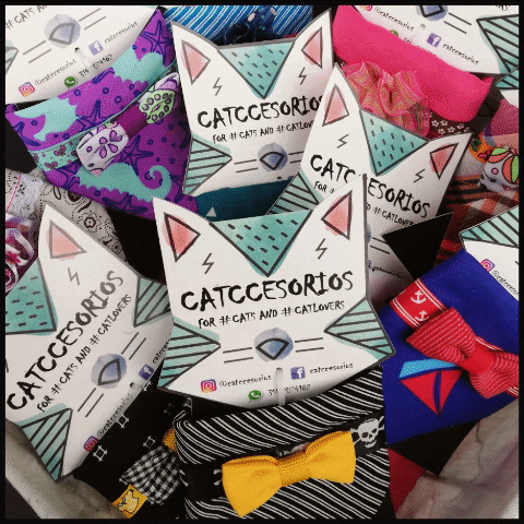 marcelagiraldoluque giphygifmaker cats toys catlovers GIF