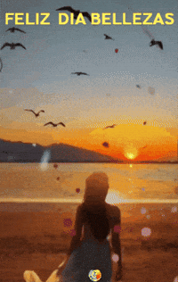 Sol Amigos GIF by Murcianys LLC