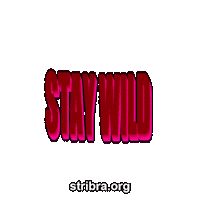 Neon Adventure Sticker by stribra