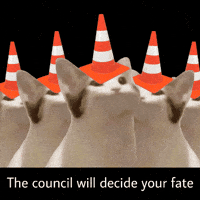 Council Popcat GIF