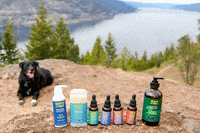 Hemp4Paws  GIF
