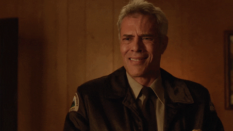 Twin Peaks Crying GIF by Vulture.com