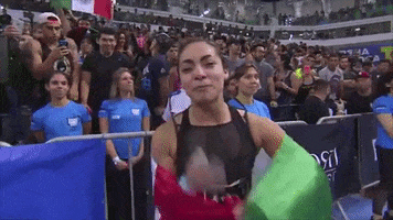 mexican flag kiss GIF by docaff
