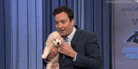 jimmy fallon dog GIF by The Tonight Show Starring Jimmy Fallon