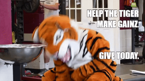 Tiger Hsc1776 GIF by Hampden-Sydney College