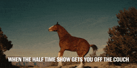super bowl GIF by Budweiser