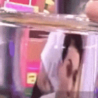 五堅情 GIF