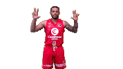 Liga Endesa Basketball Sticker by ACB