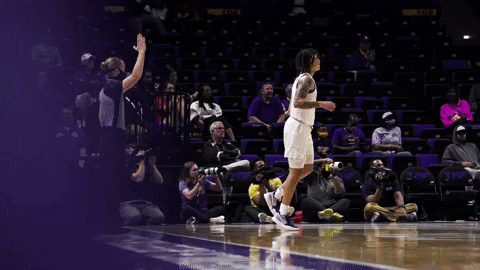 Celebrate Womens Basketball GIF by LSU Tigers