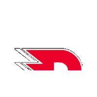 Hockeytown Sticker by HC Dynamo Pardubice