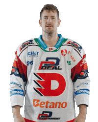 Hockey Czech Sticker by HC Dynamo Pardubice