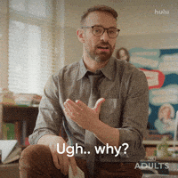 Nick Kroll What GIF by Adults