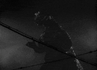 Ishiro Honda Godzilla GIF by Coolidge Corner Theatre