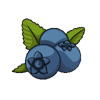 Summer Лето Sticker