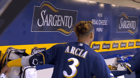 major league baseball sport GIF by MLB