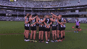 football afl GIF by CollingwoodFC