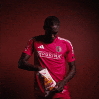Fall Stl GIF by St. Louis CITY SC