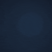 talladega superspeedway GIF by MoneyLion